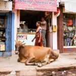 Three shops in Indian street