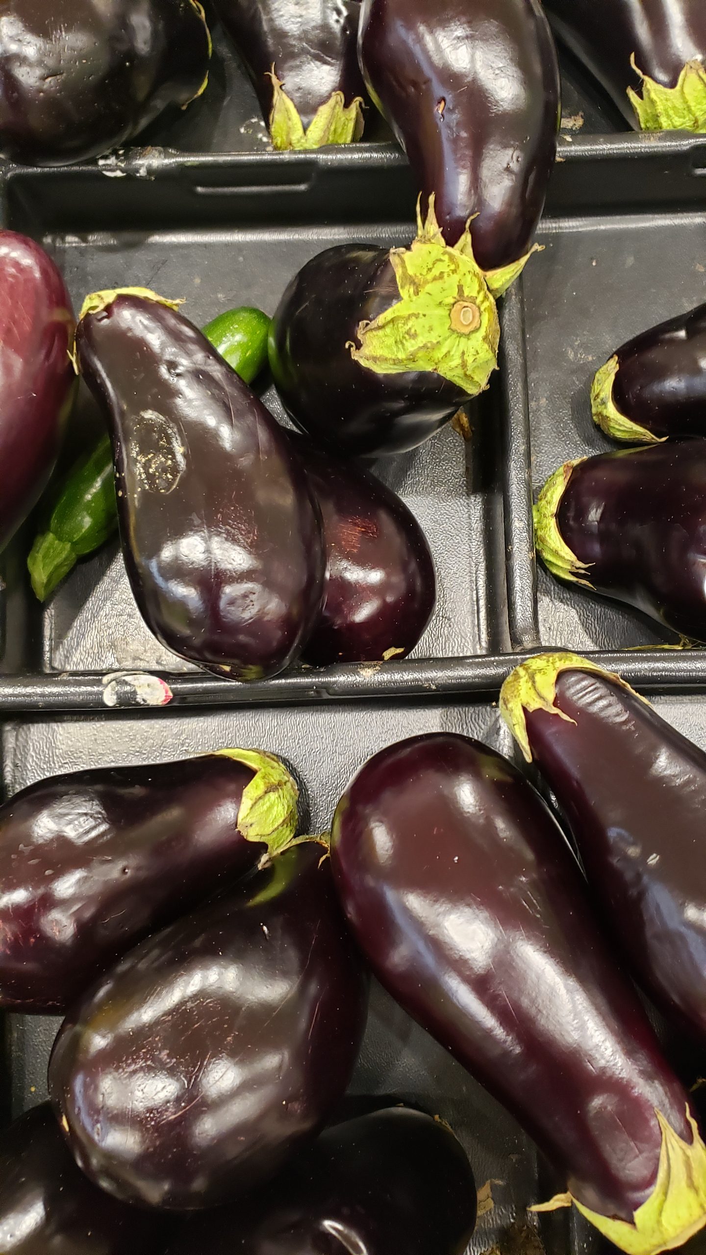 egg plants