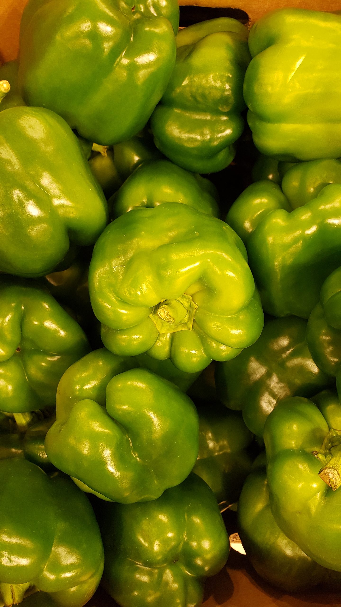 green bell peppers