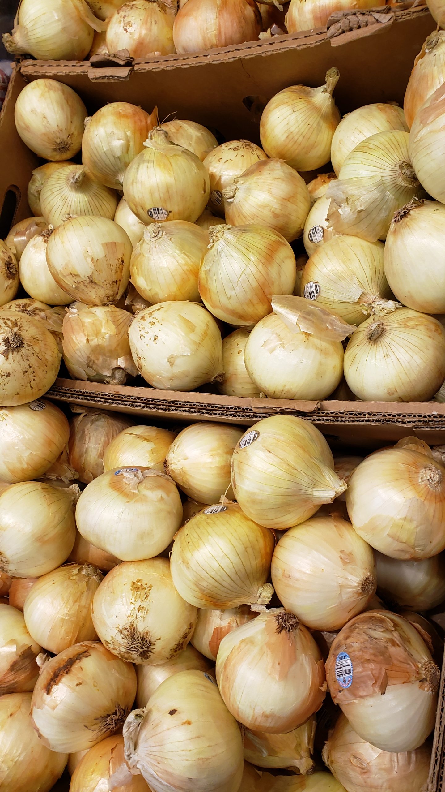 white onions