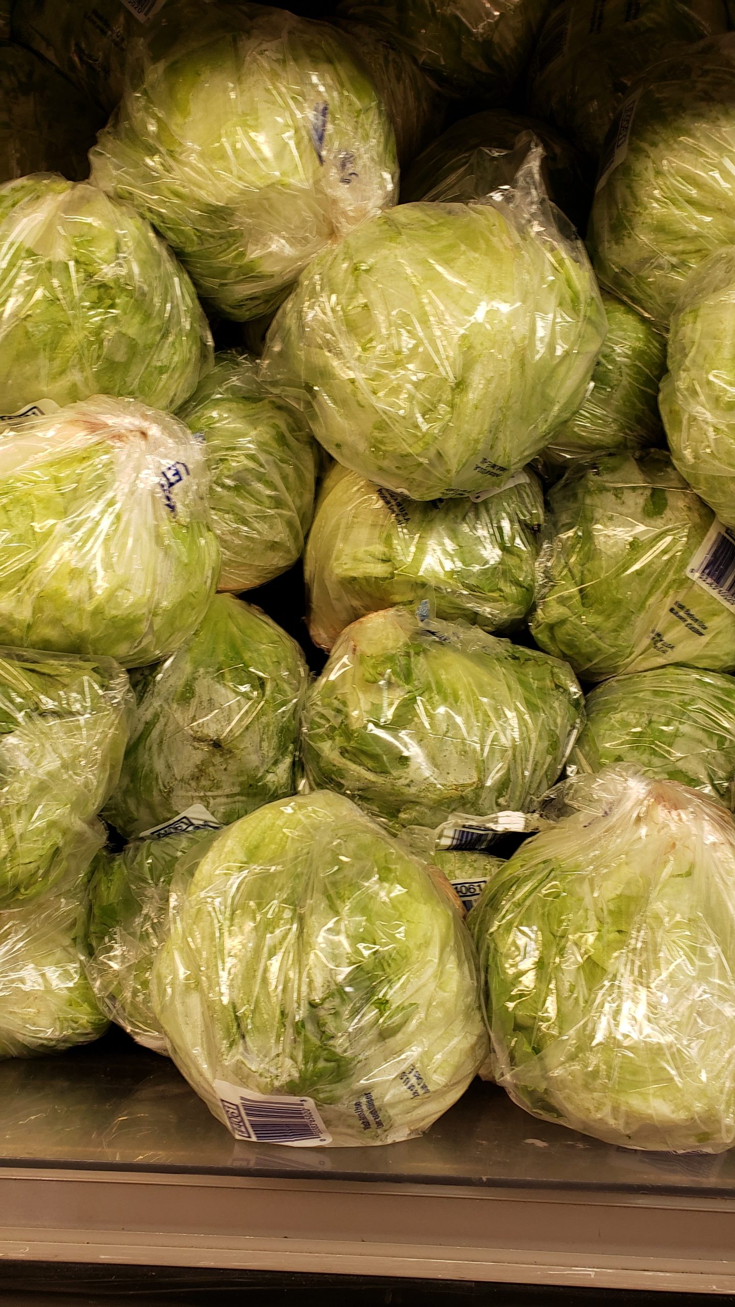 packaged cabbage heads