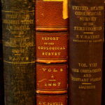 three leatherbound books on a shelf