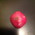one pomegranate